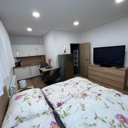Apartmany U Jelena 1 Cesky Krumlov Exterior photo