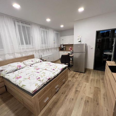 Apartmany U Jelena 1 Cesky Krumlov Exterior photo