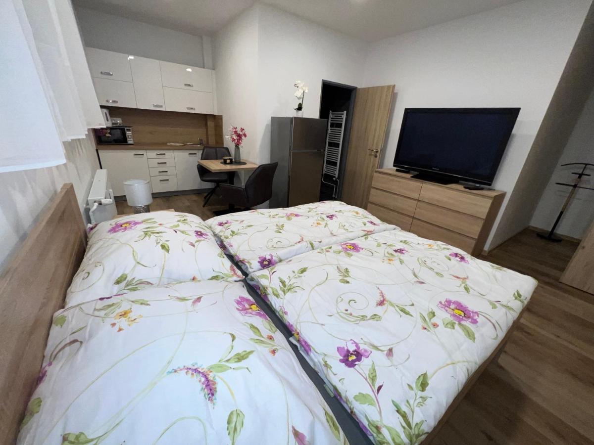 Apartmany U Jelena 1 Cesky Krumlov Exterior photo